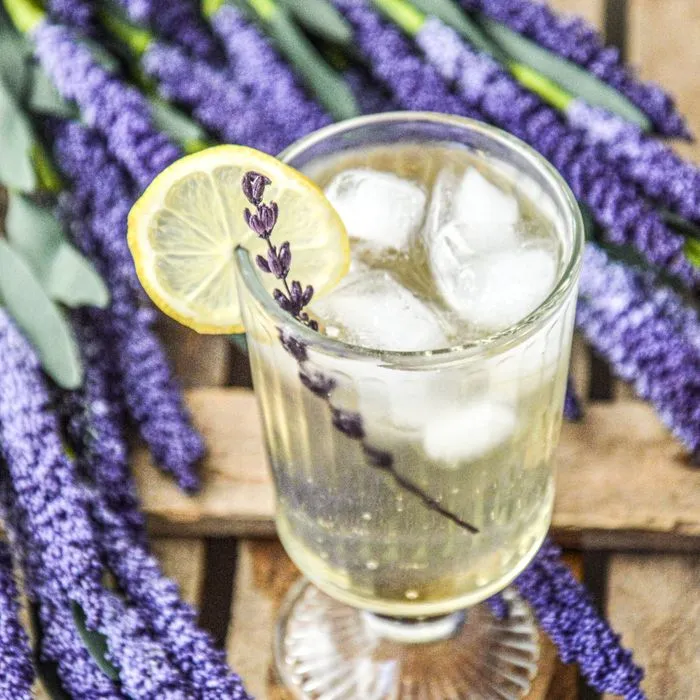 Ginffiz lavanda