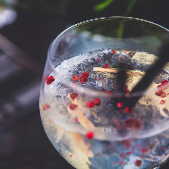 Gordon’s Pink gin & tonic