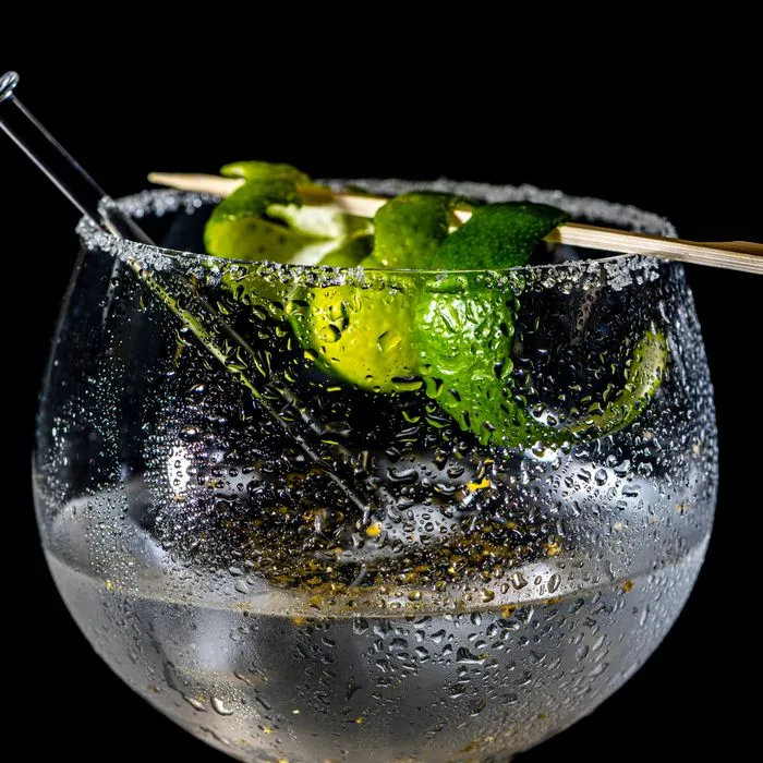 Tanqueray no. ten gin & tonic