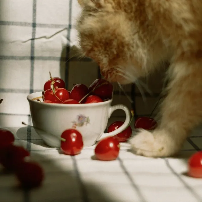 Wild Cherry